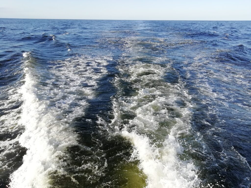 北海道大学 水産学部 飯田高大 助教授のインタビュー 赤潮の観測方法 海を守ろう