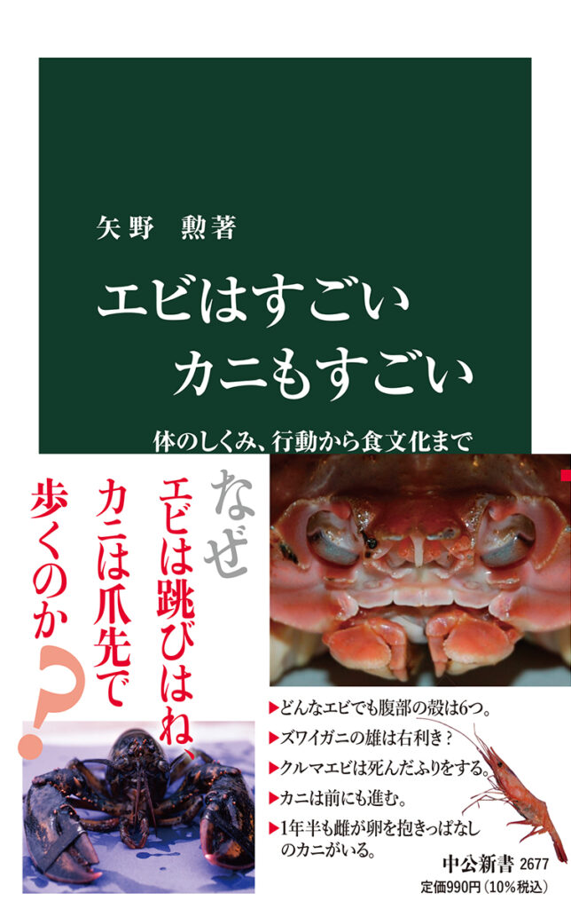 福井県立大学名誉教授 矢野勲さんのインタビュー テッポウエビの音の役割 海を守ろう